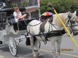IMG_0573